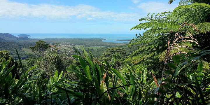 Daintree National Park
